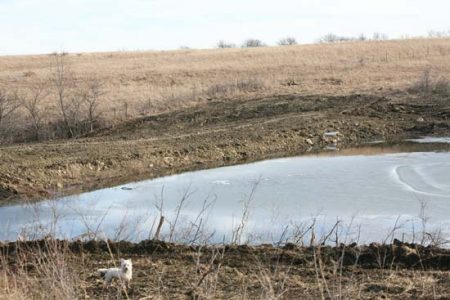 Pond Renovation Part 3: Installing the Overflow Pipe and Final Grading Image